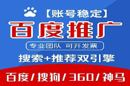 短视频平台的SEM推广实践与效果